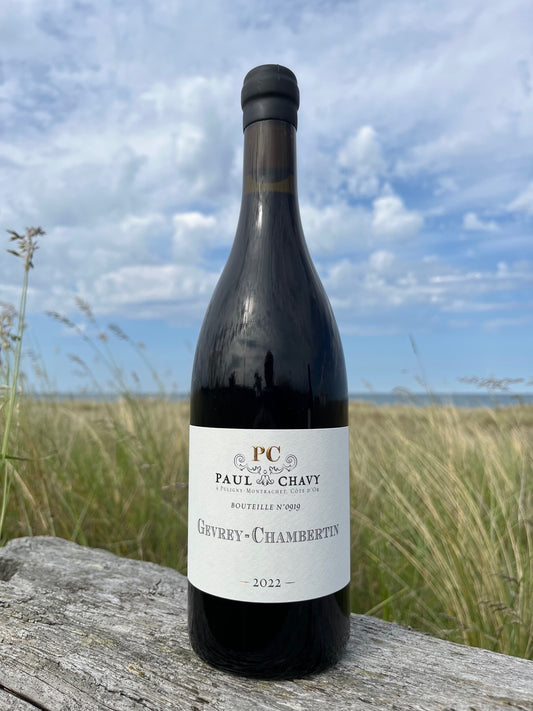 2022 Gevrey Chambertin