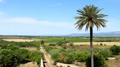 Spain Mallorca